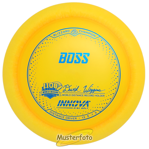 Blizzard Champion Boss (Burst Stamp) 150g türkis