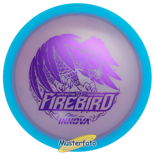 Nate Sexton 2024 Tour Series Proto Glow Halo Champion Firebird 173g-175g blau#12